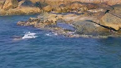 海边岩石浪花海浪蓝色视频的预览图